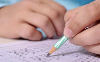 Sustainable Development Together Surveys